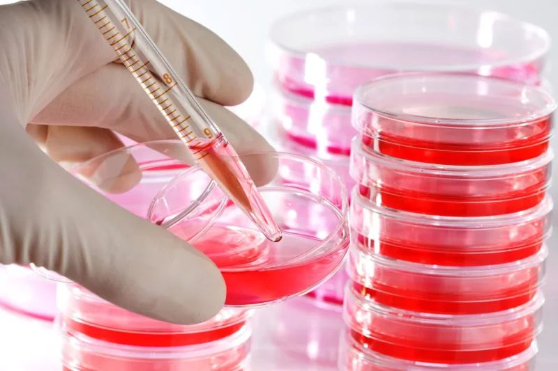 Image of 500g Nutrient Agar