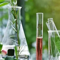 plastic or glass calcium ion probe